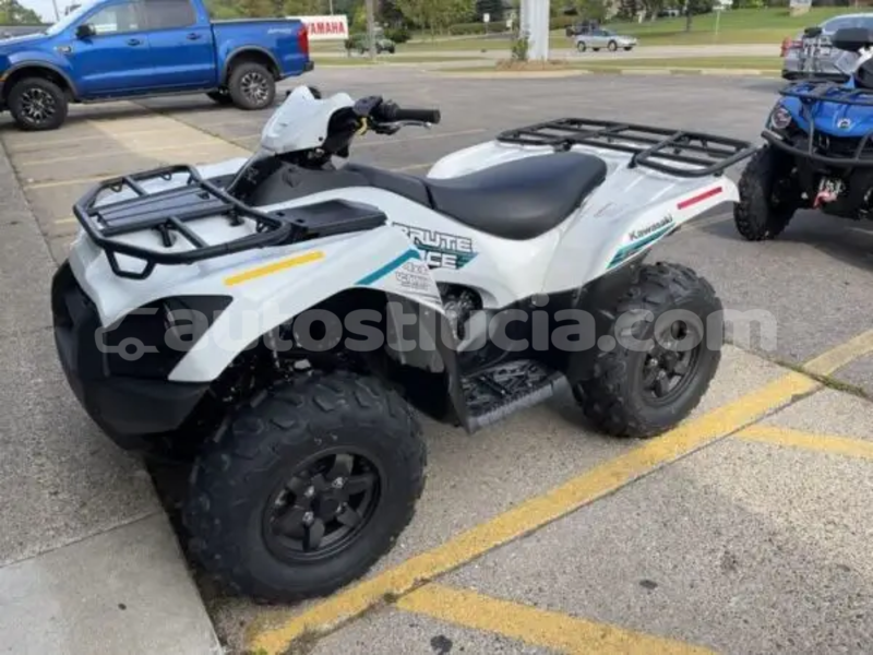 Big with watermark kawasaki brute force dennery dennery 4670