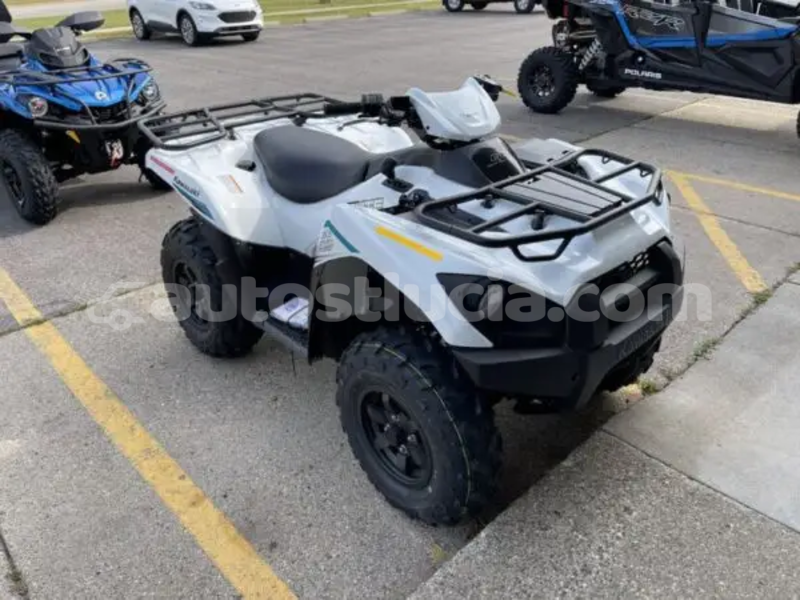 Big with watermark kawasaki brute force dennery dennery 4670