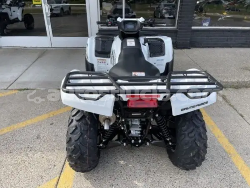 Big with watermark kawasaki brute force dennery dennery 4670
