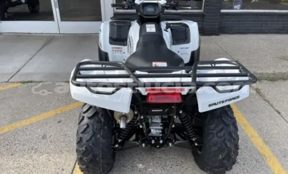 Buy New Kawasaki Brute Force White Bike in Dennery in Dennery Buy New Kawasaki Brute Force White Bike in Dennery in Dennery