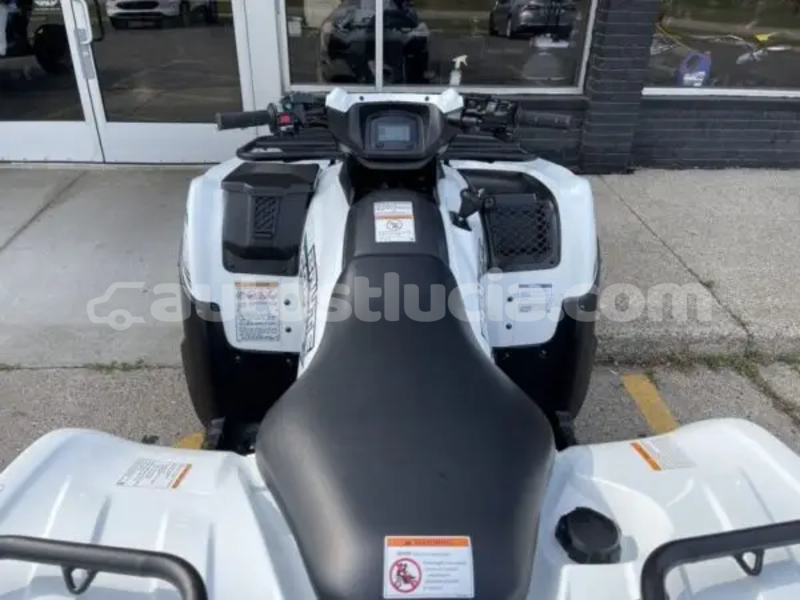 Big with watermark kawasaki brute force dennery dennery 4670