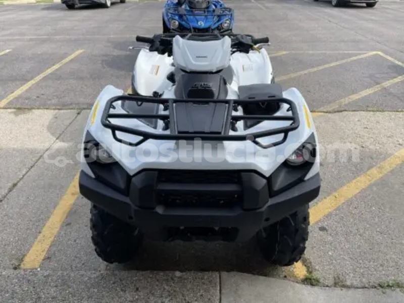 Big with watermark kawasaki brute force dennery dennery 4670