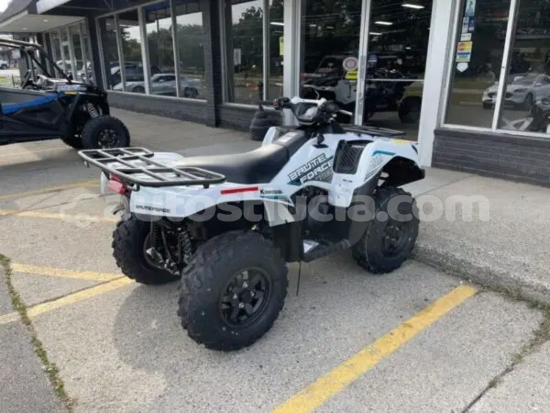 Big with watermark kawasaki brute force dennery dennery 4670