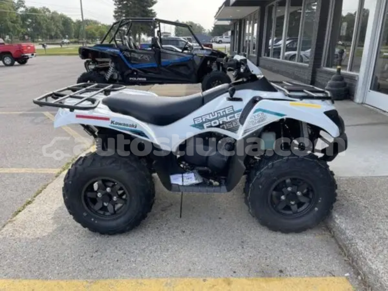 Big with watermark kawasaki brute force dennery dennery 4670