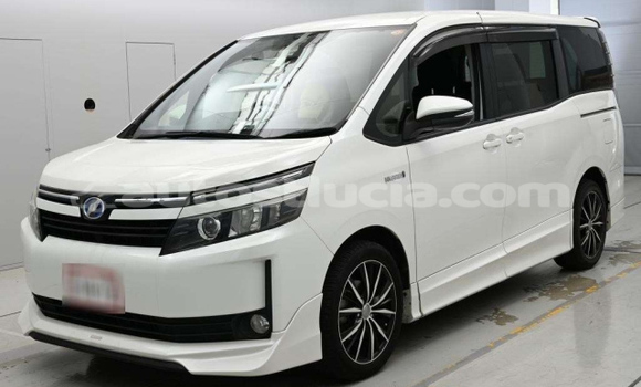 Buy Used Toyota Voxy White Car in Castries in Castries