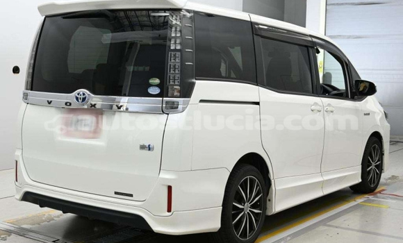 Buy Used Toyota Voxy White Car in Castries in Castries Buy Used Toyota Voxy White Car in Castries in Castries