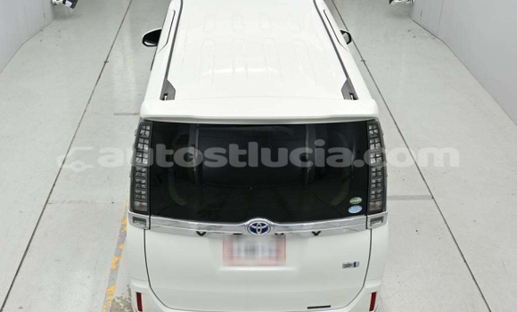 Buy Used Toyota Voxy White Car in Castries in Castries Buy Used Toyota Voxy White Car in Castries in Castries