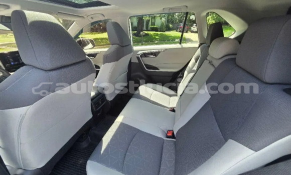 Buy Used Toyota RAV4 White Car in Dennery in Dennery Buy Used Toyota RAV4 White Car in Dennery in Dennery