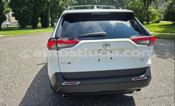 Buy Used Toyota RAV4 White Car in Dennery in Dennery Buy Used Toyota RAV4 White Car in Dennery in Dennery