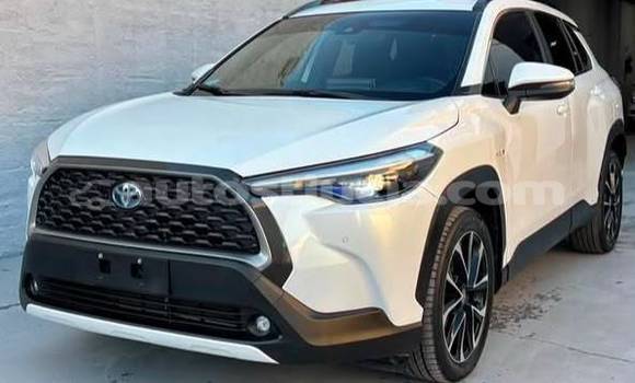 Buy Used Toyota Corolla Cross White Car in Castries in Castries