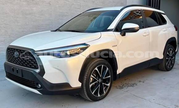 Buy Used Toyota Corolla Cross White Car in Castries in Castries Buy Used Toyota Corolla Cross White Car in Castries in Castries