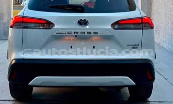 Buy Used Toyota Corolla Cross White Car in Castries in Castries Buy Used Toyota Corolla Cross White Car in Castries in Castries