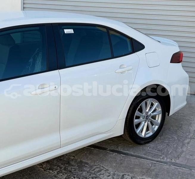 Big with watermark toyota corolla canaries canaries 4699