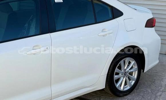 Buy Used Toyota Corolla White Car in Canaries in Canaries Buy Used Toyota Corolla White Car in Canaries in Canaries