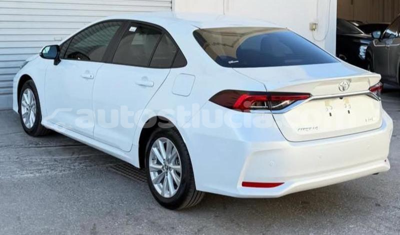 Big with watermark toyota corolla canaries canaries 4699