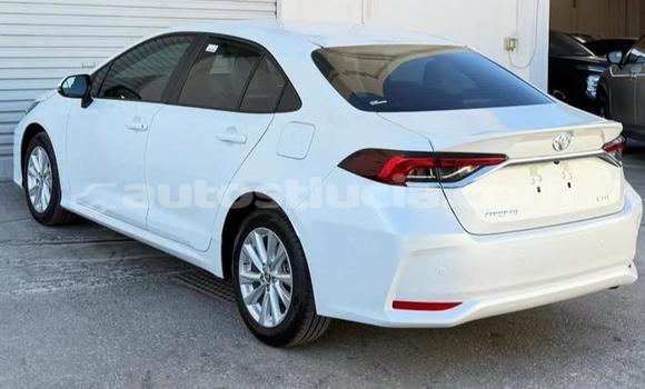Buy Used Toyota Corolla White Car in Canaries in Canaries Buy Used Toyota Corolla White Car in Canaries in Canaries