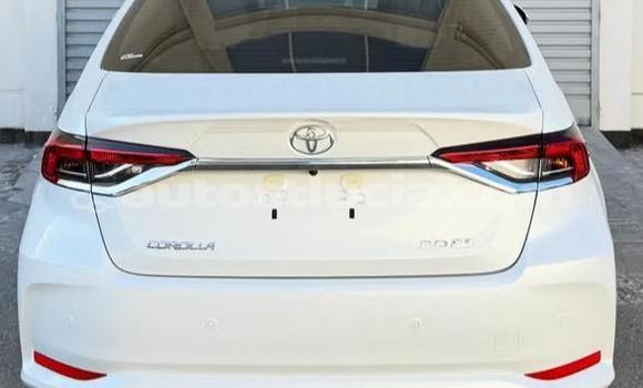 Buy Used Toyota Corolla White Car in Canaries in Canaries Buy Used Toyota Corolla White Car in Canaries in Canaries