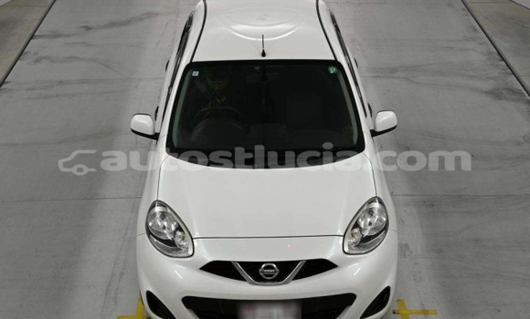 Buy Used Nissan March White Car in Dennery in Dennery Buy Used Nissan March White Car in Dennery in Dennery