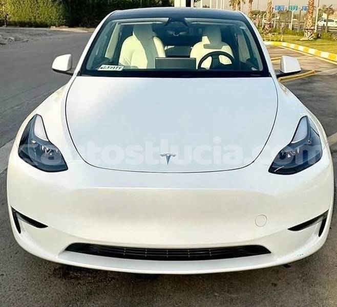 Big with watermark tesla model x castries castries 4702