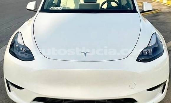 Buy Used Tesla Model X White Car in Castries in Castries