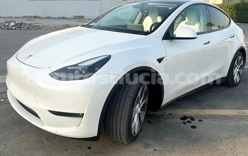 Big with watermark tesla model x castries castries 4702