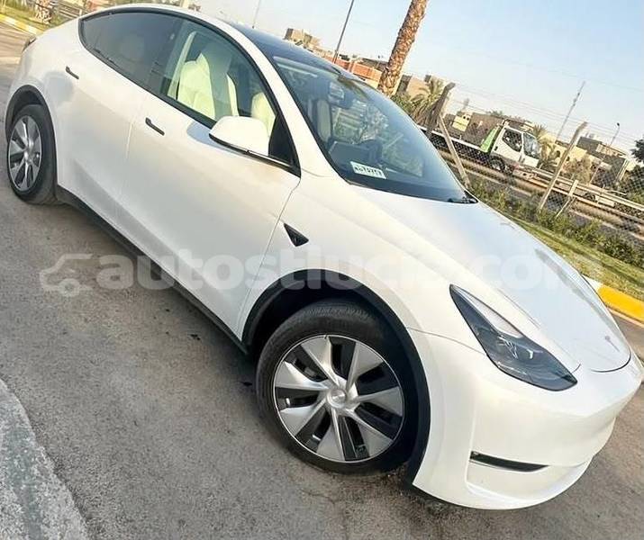 Big with watermark tesla model x castries castries 4702