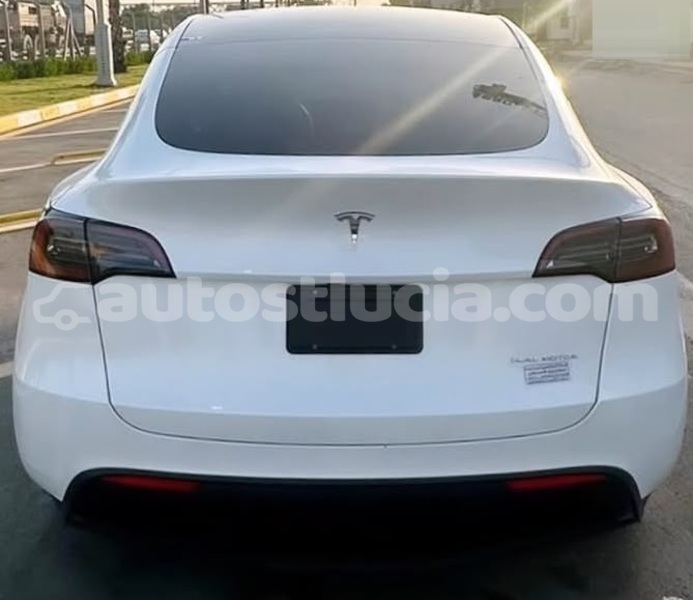 Big with watermark tesla model x castries castries 4702