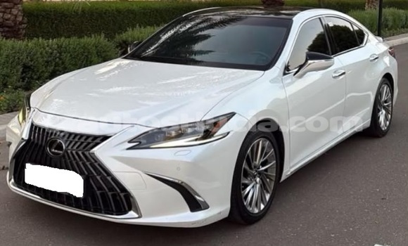 Buy Used Lexus ES White Car in Castries in Castries