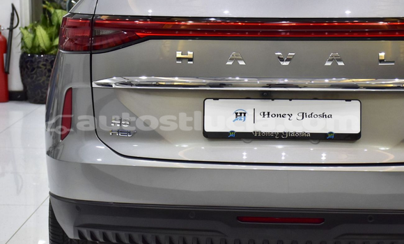 Buy Import Haval H6 Silver Car in Import - Dubai in Anse-la-Raye Buy Import Haval H6 Silver Car in Import - Dubai in Anse-la-Raye