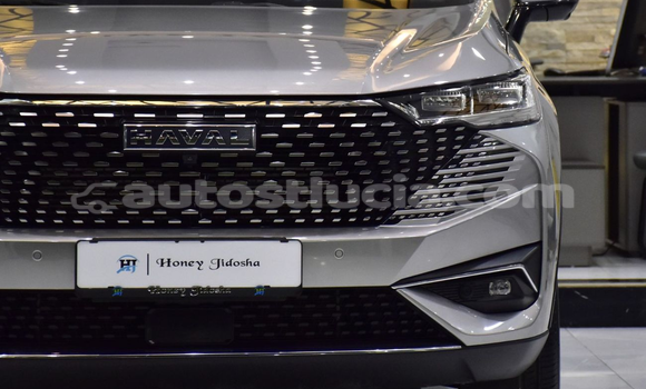 Buy Import Haval H6 Silver Car in Import - Dubai in Anse-la-Raye Buy Import Haval H6 Silver Car in Import - Dubai in Anse-la-Raye