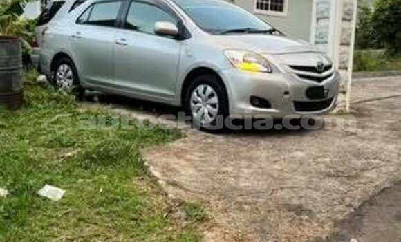 Buy Used Toyota Belta Other Car in Castries in Castries
