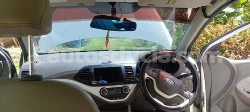 Big with watermark kia picanto castries castries 4732