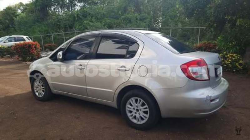 Big with watermark suzuki sx4 canaries canaries 4734
