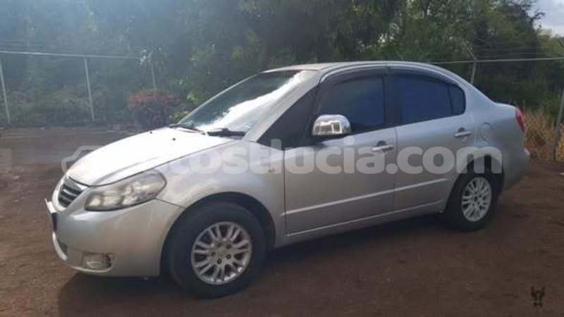 Big with watermark suzuki sx4 canaries canaries 4734