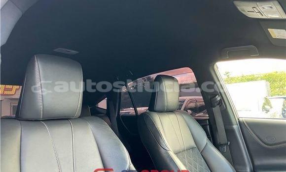 Acheter Import Voiture Toyota Harrier Blanc à Import - Dubai, Anse-la-Raye Acheter Import Voiture Toyota Harrier Blanc à Import - Dubai, Anse-la-Raye