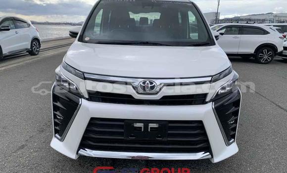 Acheter Import Voiture Toyota Voxy Blanc à Import - Dubai, Anse-la-Raye Acheter Import Voiture Toyota Voxy Blanc à Import - Dubai, Anse-la-Raye