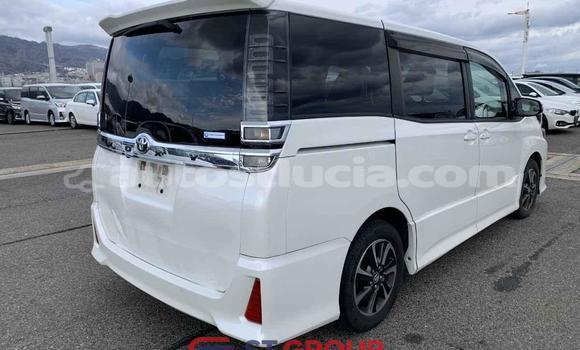 Acheter Import Voiture Toyota Voxy Blanc à Import - Dubai, Anse-la-Raye Acheter Import Voiture Toyota Voxy Blanc à Import - Dubai, Anse-la-Raye