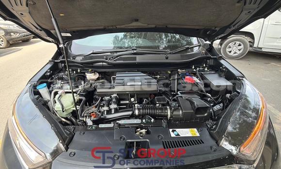 Buy Import Honda CR–V Silver Car in Import - Dubai in Anse-la-Raye Buy Import Honda CR–V Silver Car in Import - Dubai in Anse-la-Raye