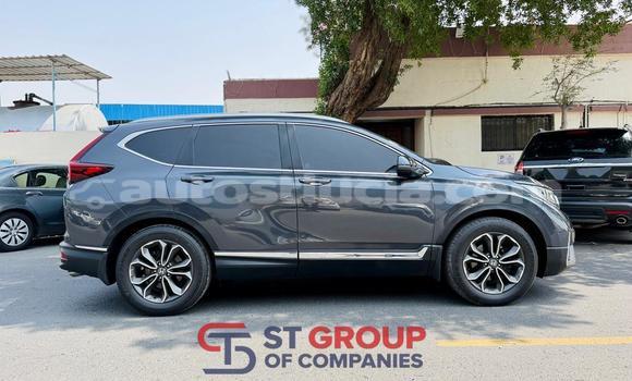 Buy Import Honda CR–V Silver Car in Import - Dubai in Anse-la-Raye Buy Import Honda CR–V Silver Car in Import - Dubai in Anse-la-Raye