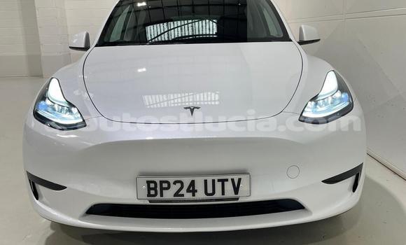 Acheter Import Voiture Tesla Model X Blanc à Import - Dubai, Anse-la-Raye