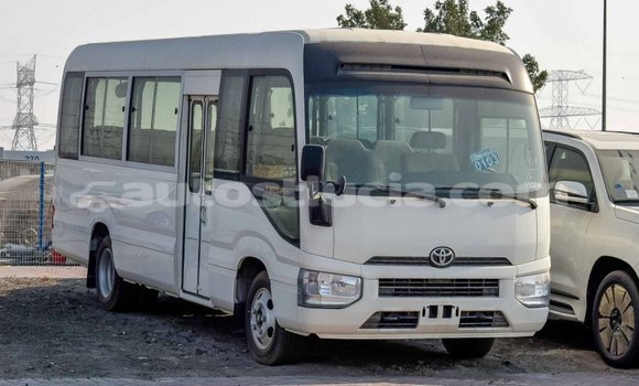 Acheter Import Voiture Toyota Coaster Blanc à Import - Dubai, Anse-la-Raye Acheter Import Voiture Toyota Coaster Blanc à Import - Dubai, Anse-la-Raye