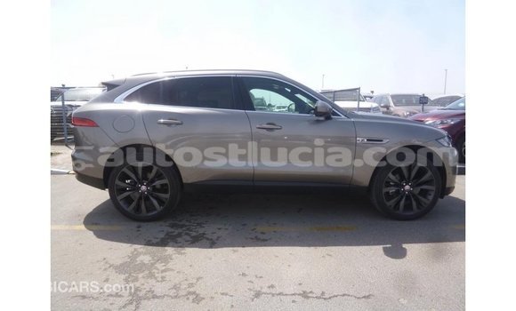 Buy Import Jaguar F-Pace Other Car in Import - Dubai in Anse-la-Raye Buy Import Jaguar F-Pace Other Car in Import - Dubai in Anse-la-Raye