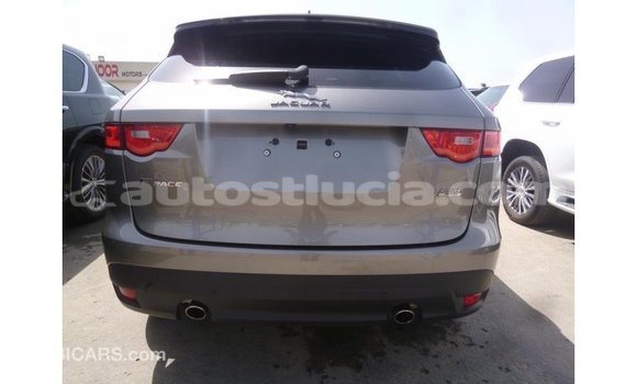 Buy Import Jaguar F-Pace Other Car in Import - Dubai in Anse-la-Raye Buy Import Jaguar F-Pace Other Car in Import - Dubai in Anse-la-Raye
