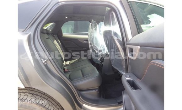 Buy Import Jaguar F-Pace Other Car in Import - Dubai in Anse-la-Raye Buy Import Jaguar F-Pace Other Car in Import - Dubai in Anse-la-Raye