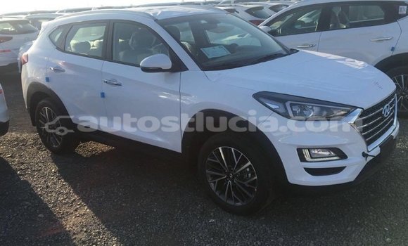Buy Import Hyundai Tucson White Car in Import - Dubai in Anse-la-Raye Buy Import Hyundai Tucson White Car in Import - Dubai in Anse-la-Raye