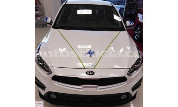 Buy Import Kia Cerato White Car in Import - Dubai in Anse-la-Raye