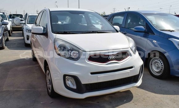 Buy Import Kia Picanto White Car in Import - Dubai in Anse-la-Raye