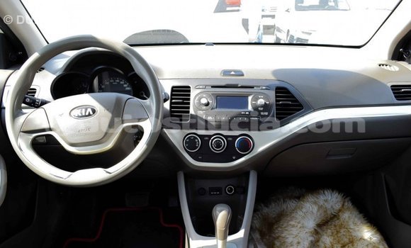 Buy Import Kia Picanto White Car in Import - Dubai in Anse-la-Raye Buy Import Kia Picanto White Car in Import - Dubai in Anse-la-Raye