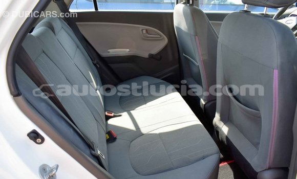 Buy Import Kia Picanto White Car in Import - Dubai in Anse-la-Raye Buy Import Kia Picanto White Car in Import - Dubai in Anse-la-Raye