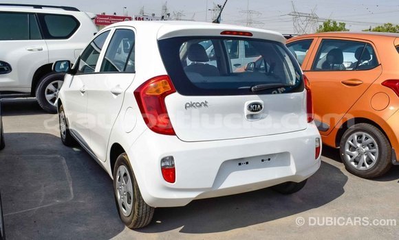 Buy Import Kia Picanto White Car in Import - Dubai in Anse-la-Raye Buy Import Kia Picanto White Car in Import - Dubai in Anse-la-Raye